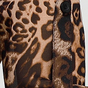 Trendy Leopard V Neck Long Sleeve Shirt For Woman