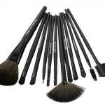 12 PCS Professioal Makeup Brush Set..