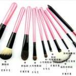 Colorshine 10 cosmetic brush set pr..