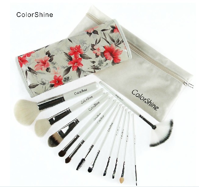 Colorshine High Quality 12 Pcs Makeup Brush Set Professional Makeup Tools